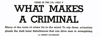 What Makes a Criminal?